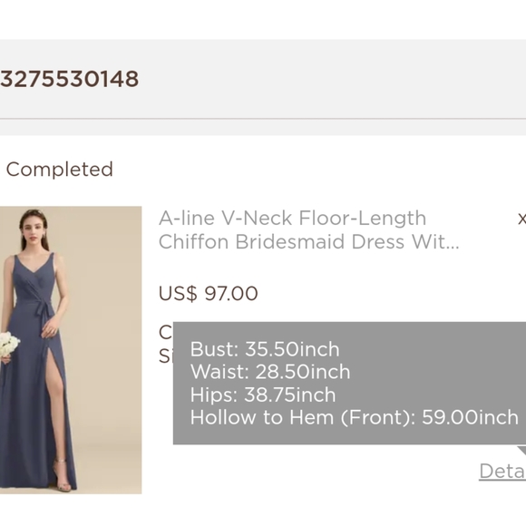 A-line V-Neck Floor-Length Chiffon Dress - Size 8 - Picture 8 of 8